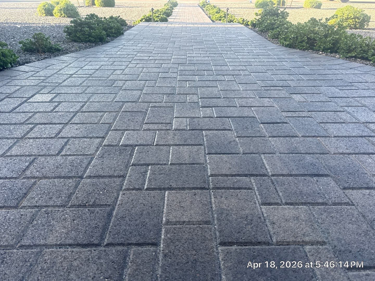Frontyard pavers professionally sealed